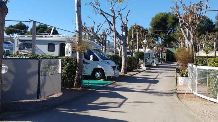 zobacz camping - zdjęcie 24