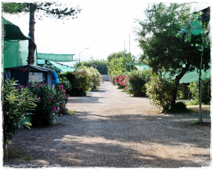 zobacz camping - zdjęcie 17