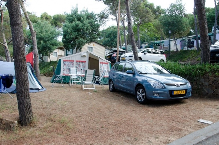 zobacz camping - zdjęcie 26