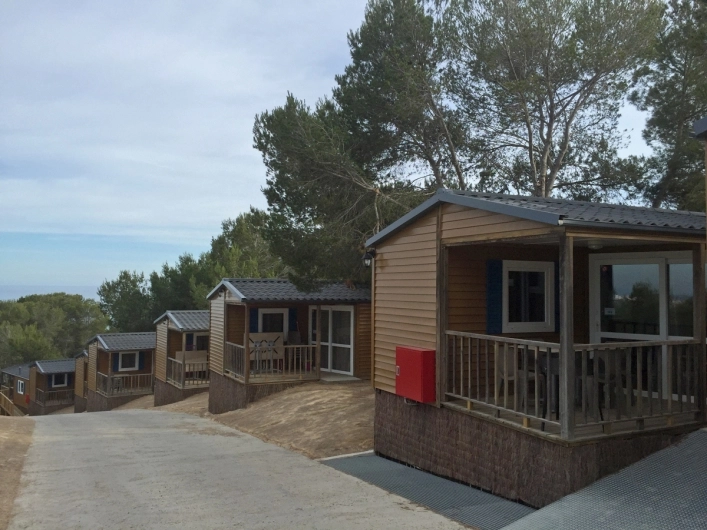 zobacz camping - zdjęcie 44