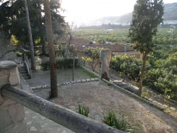 Camping Tropical - zdjęcie 3