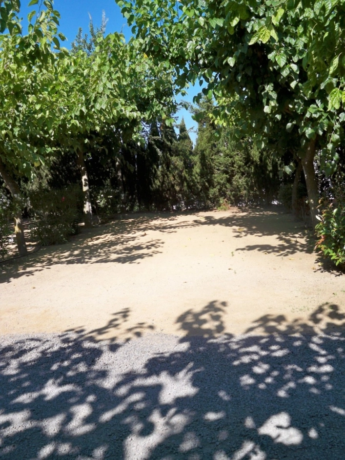 zobacz camping - zdjęcie 17