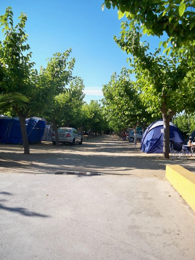 zobacz camping - zdjęcie 13