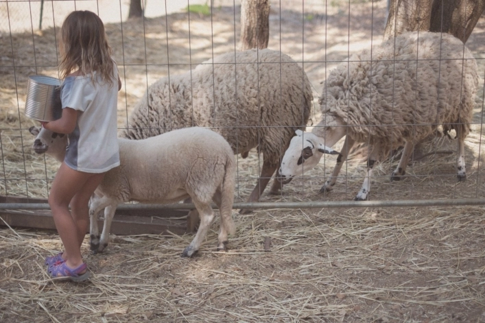 zobacz camping - zdjęcie 11
