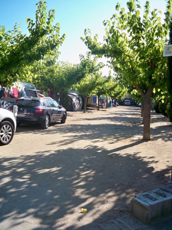 zobacz camping - zdjęcie 6