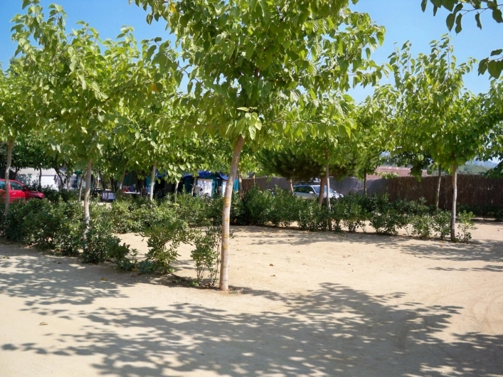 Camping Tucán - zdjęcie 1