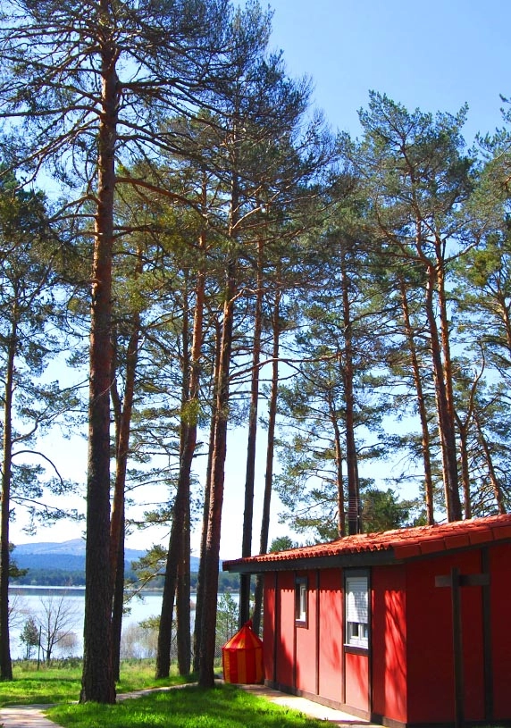 zobacz camping - zdjęcie 18