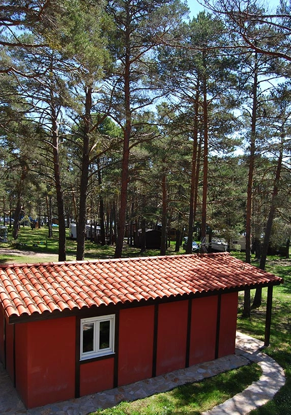 zobacz camping - zdjęcie 8