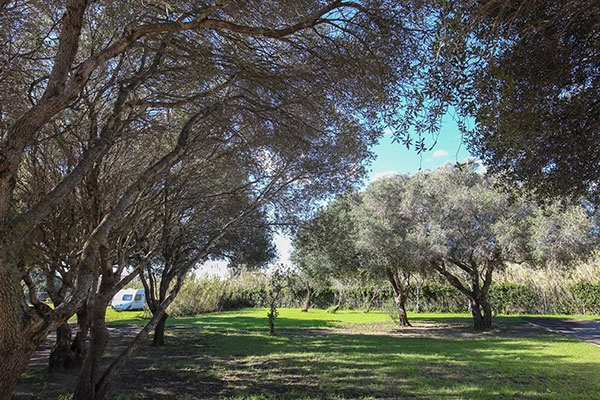 zobacz camping - zdjęcie 34