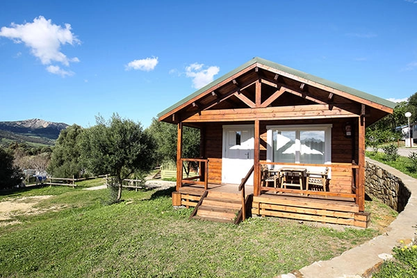 zobacz camping - zdjęcie 30