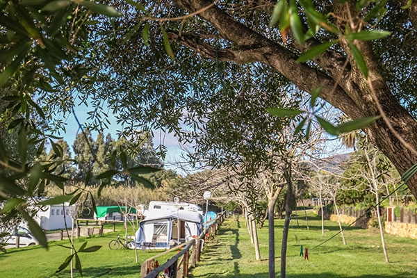 zobacz camping - zdjęcie 26