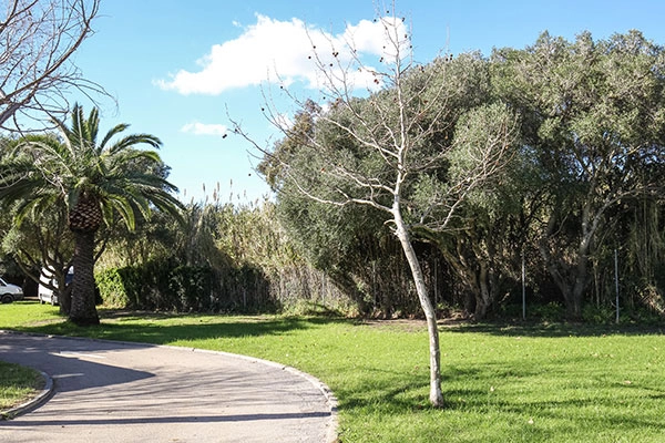 zobacz camping - zdjęcie 9