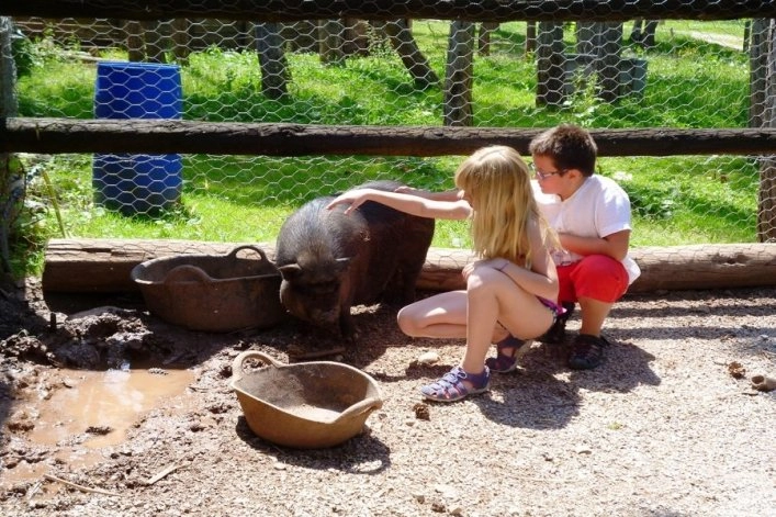 zobacz camping - zdjęcie 25