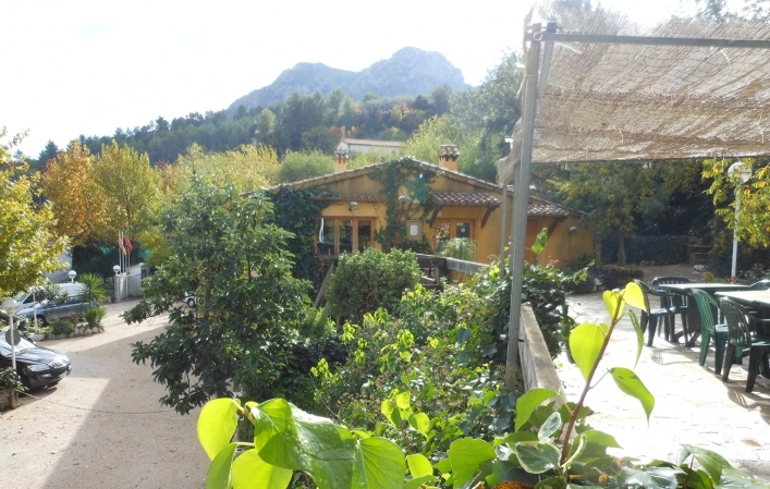 zobacz camping - zdjęcie 21