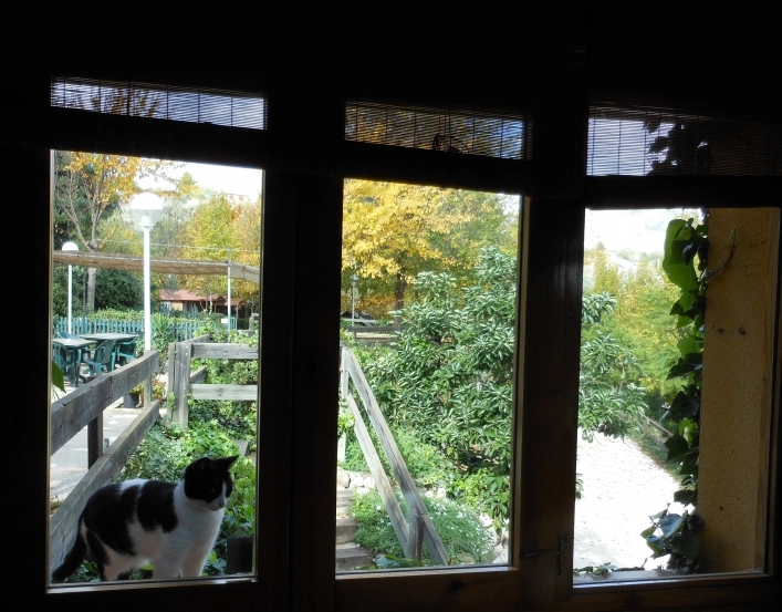 zobacz camping - zdjęcie 15