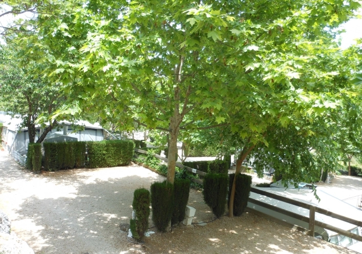 Camping Vall de Laguar - zdjęcie 1