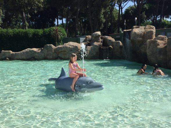 zobacz camping - zdjęcie 27