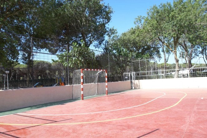 zobacz camping - zdjęcie 22