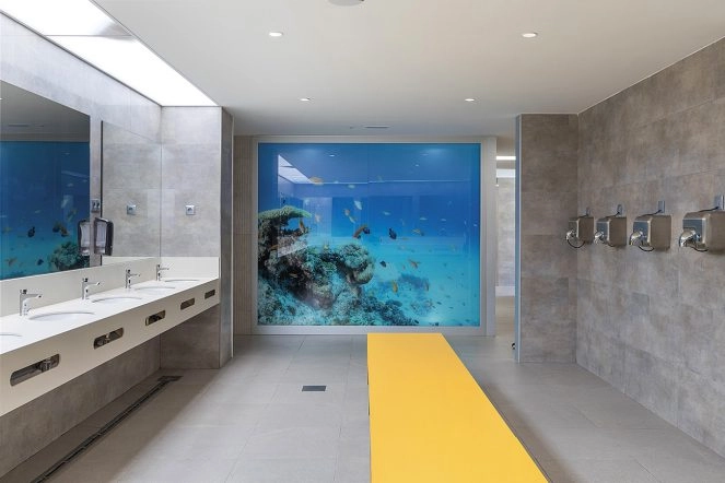 zobacz camping - zdjęcie 15