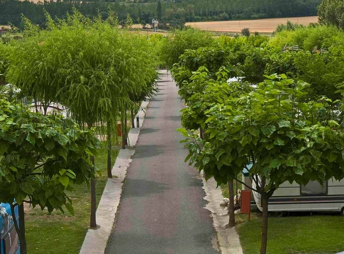 zobacz camping - zdjęcie 9