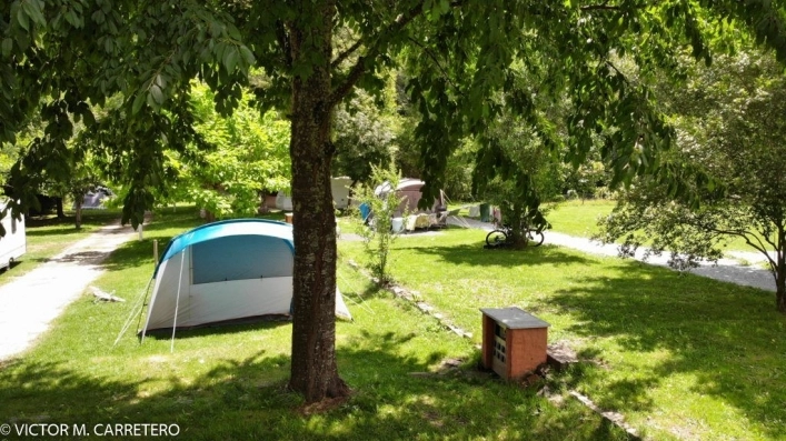 zobacz camping - zdjęcie 17