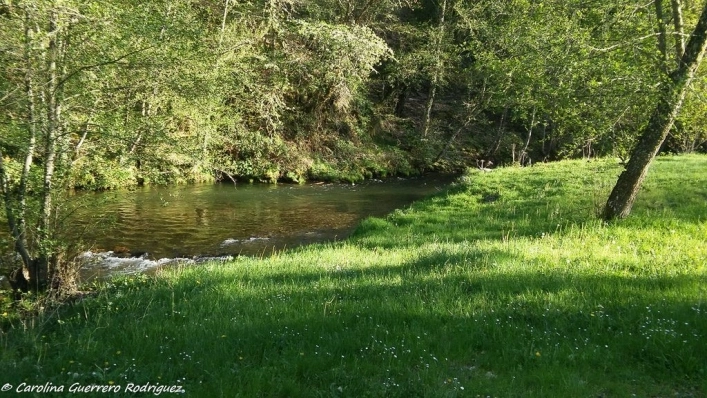 zobacz camping - zdjęcie 15