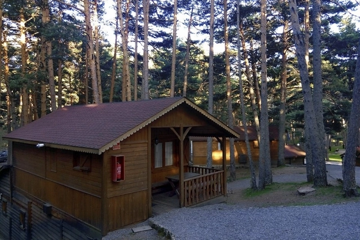 zobacz camping - zdjęcie 27