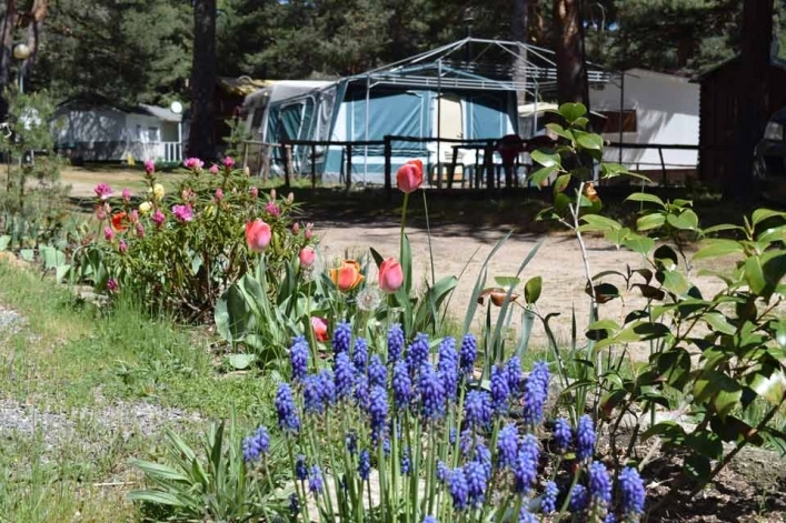 zobacz camping - zdjęcie 20