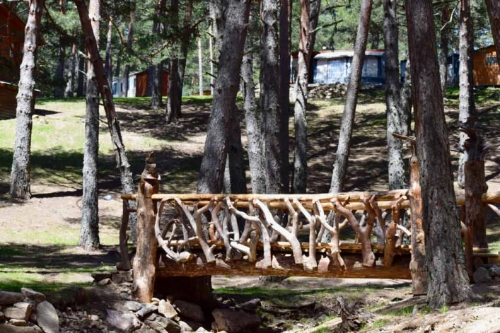 zobacz camping - zdjęcie 15