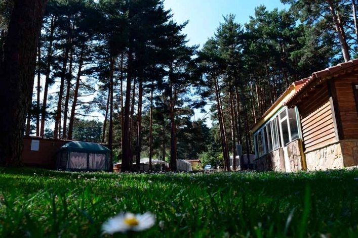 zobacz camping - zdjęcie 6