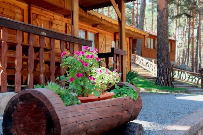 zobacz camping - zdjęcie 4