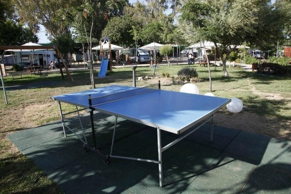 zobacz camping - zdjęcie 26