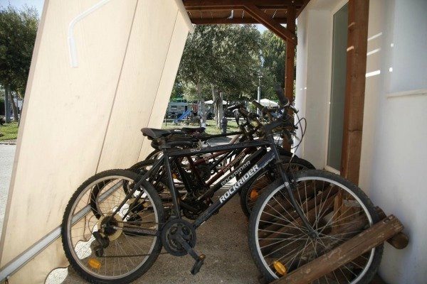 zobacz camping - zdjęcie 22