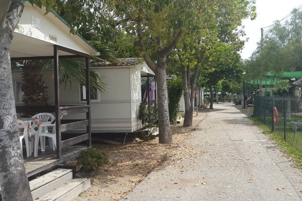 zobacz camping - zdjęcie 12