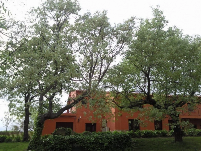 zobacz camping - zdjęcie 18