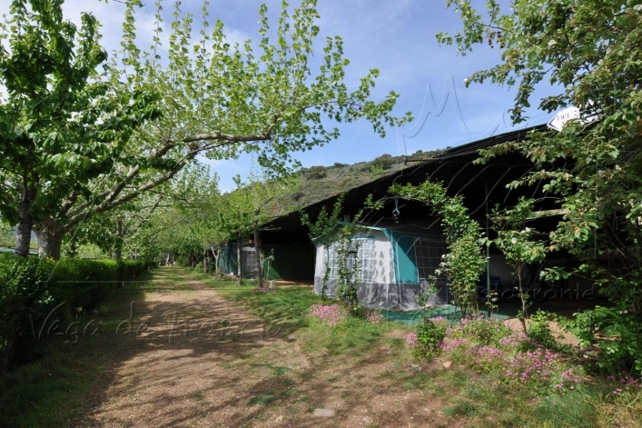 zobacz camping - zdjęcie 27