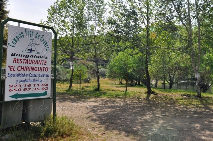 zobacz camping - zdjęcie 24