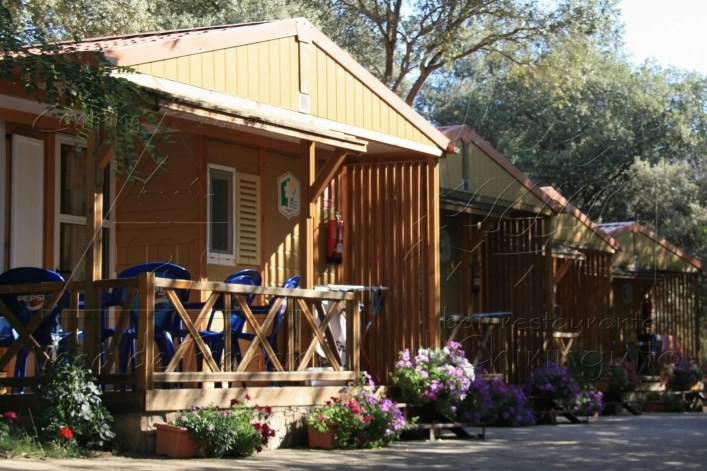 zobacz camping - zdjęcie 23