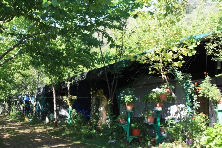 zobacz camping - zdjęcie 16