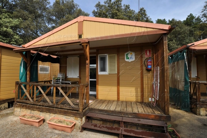 zobacz camping - zdjęcie 8