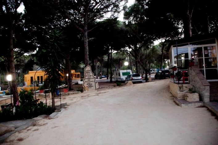 zobacz camping - zdjęcie 25