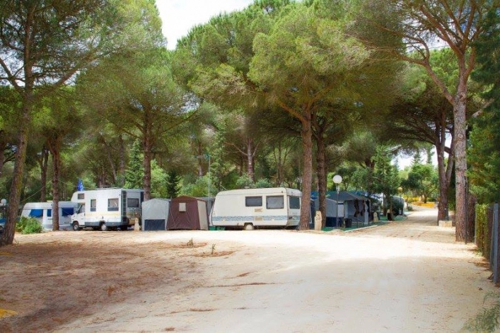 zobacz camping - zdjęcie 24