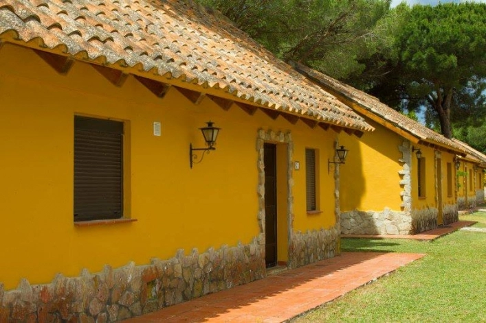 zobacz camping - zdjęcie 23