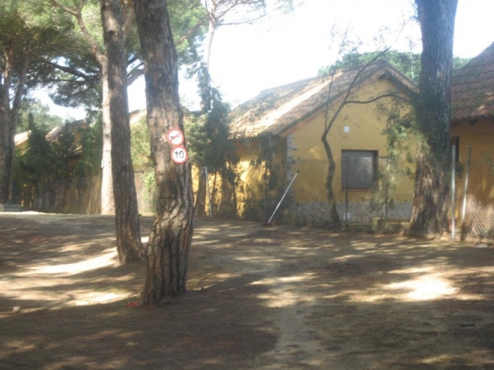 zobacz camping - zdjęcie 20