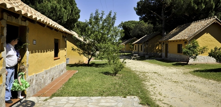 zobacz camping - zdjęcie 14