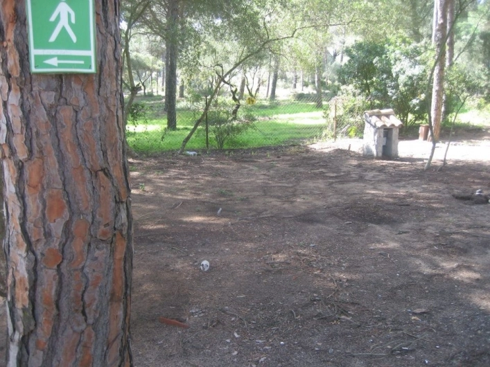 zobacz camping - zdjęcie 9