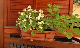 zobacz camping - zdjęcie 8