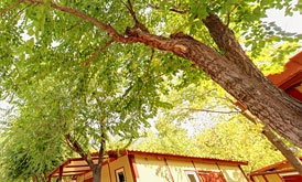 zobacz camping - zdjęcie 7