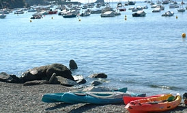 zobacz camping - zdjęcie 2