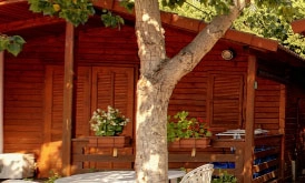 zobacz camping - zdjęcie 1